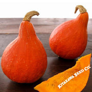 Squash Seeds - Japanese Red Kuri - Organic