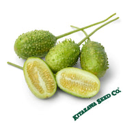 West Indian Gherkin Cucumber Fruits