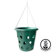 Bloom Master Planters - Bulk Quantities