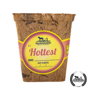Sustainable Coco Coir Pots - Square - Pepper Hottest