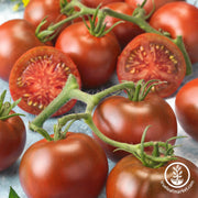 Tomato Seeds - Slicing - Early Choice Black F1