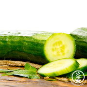 Cucumber Seeds - Sweet Success Hybrid