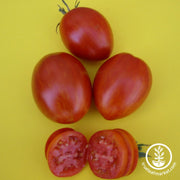 Tomato Seeds - Salad - Red Zebra