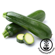 Zucchini Seeds - Storrs Green Hybrid