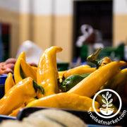 Pepper Seeds - Sweet - Gold Horn Hybrid