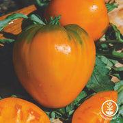 Tomato Seeds - Paste - German Orange Strawberry