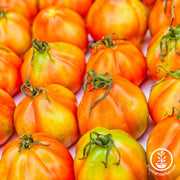 Oxheart Orange Tomatoes