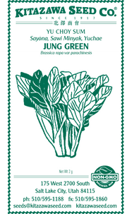 Retail Packet Design - Green Print - Yu Choy Sum Seed Packet - Jung Green