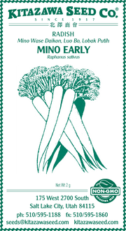 Retail Packet Design - Green Print - Radish Seed Packet - Mino Early