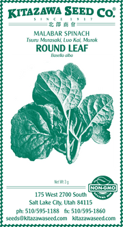 Retail Packet Design - Green Print - Spinach Seed Packet - Round Leaf Malabar