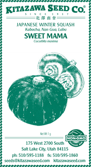 Retail Packet Design - Green Print - Squash Seed Packet - Winter - Sweet Mama Hybrid
