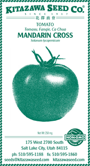Retail Packet Design - Green Print - Tomato Seed Packet - Mandarin Cross