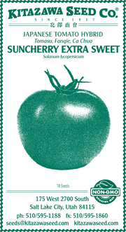 Retail Packet Design - Green Print - Tomato Seed Packet - Suncherry Extra