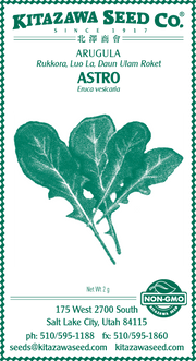 Retail Packet Design - Green Print - Arugula Seed Packet - Astro