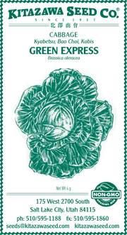 Retail Packet Design - Green Print - Cabbage Seed Packet - Green Express