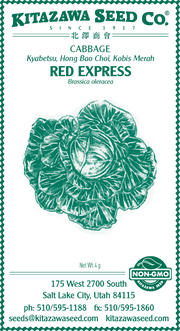 Retail Packet Design - Green Print - Cabbage Seed Packet - Red Express
