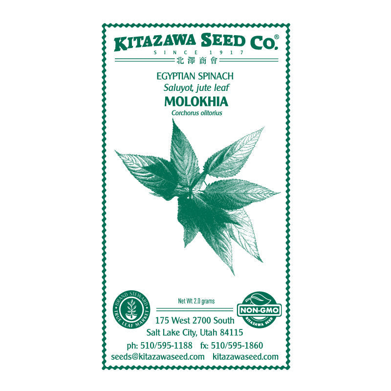 molokhia plant seeds Wholesale Molokhia Egyptian Spinach Seed