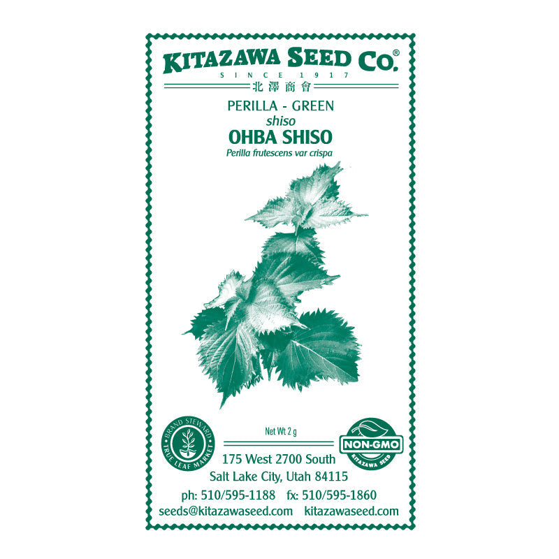 shiso plant seeds Wholesale Shiso Herb Packet (Perilla) Green Seed