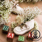 Flower Seeds - Babys Breath