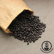 black-turtle-beans-organic-bulk-grains-foods