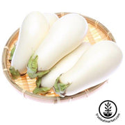 Eggplant Seeds - Casper White