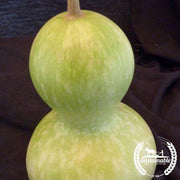 Gourd Seeds - Birdhouse - Organic