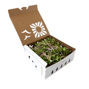 Sustainable Produce & Microgreens Container