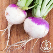 Rutabaga Seeds - American Purple Top