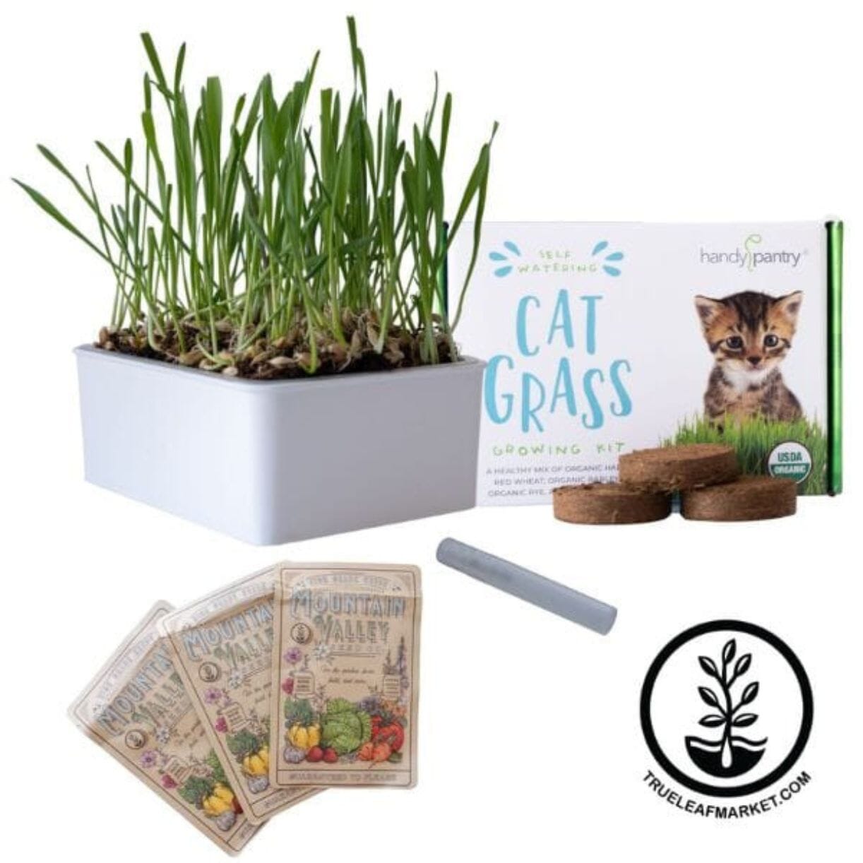 self watering cat plant Organic Self-Watering Cat Grass Kit