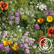 Flower Seeds - Beneficial Bug Mix