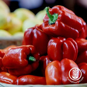 Pepper Seeds - Sweet - Cal Rose Red