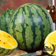 Watermelon Seeds - Icebox - Yellow Gem Sweet (Organic)