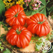 Tomato Seeds - Slicing - Rosso Sicilian