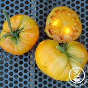 Tomato Seeds - Slicing - Kellogg's Breakfast