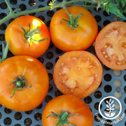 Tomato Seeds - Slicing - Caro Rich