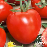 Tomato Seeds - Slicing - German Red Strawberry