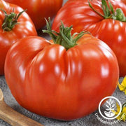 Tomato Seeds - Slicing - Giant Red Beefsteak