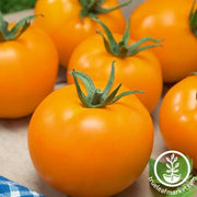 Tomato Seeds - Salad - Mandarin Cross