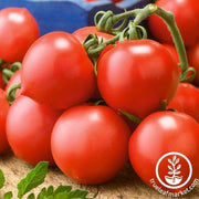 Tomato Seeds - Cherry - Riesenstraube