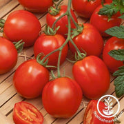 Tomato Seeds - Slicing - Rushmore