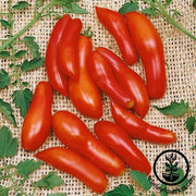 Tomato Seeds - Paste - Sausage