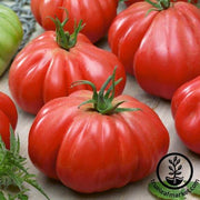 Tomato Seeds - Slicing - Stuffer Pink