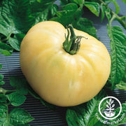 Tomato Seeds - Slicing - White Wonder