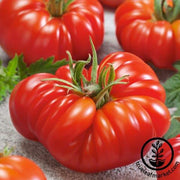 Tomato Seeds - Slicing - Zapotec Oaxacan Ribbed