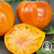 Tomato Seeds - Slicing - Patty's Striped Beefsteak