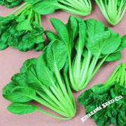 Cabbage Seeds - Pak Choi - Savoy Tatsoi