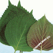 Shiso Herb Seeds (Perilla) - Korean