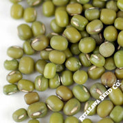 Mung Bean - Mappe Green