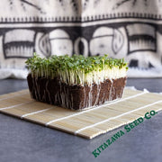 Cabbage - Pak Choi White Stem - Microgreens Seeds