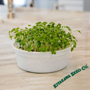 Mustard - Spicy Oriental - Microgreens Seeds